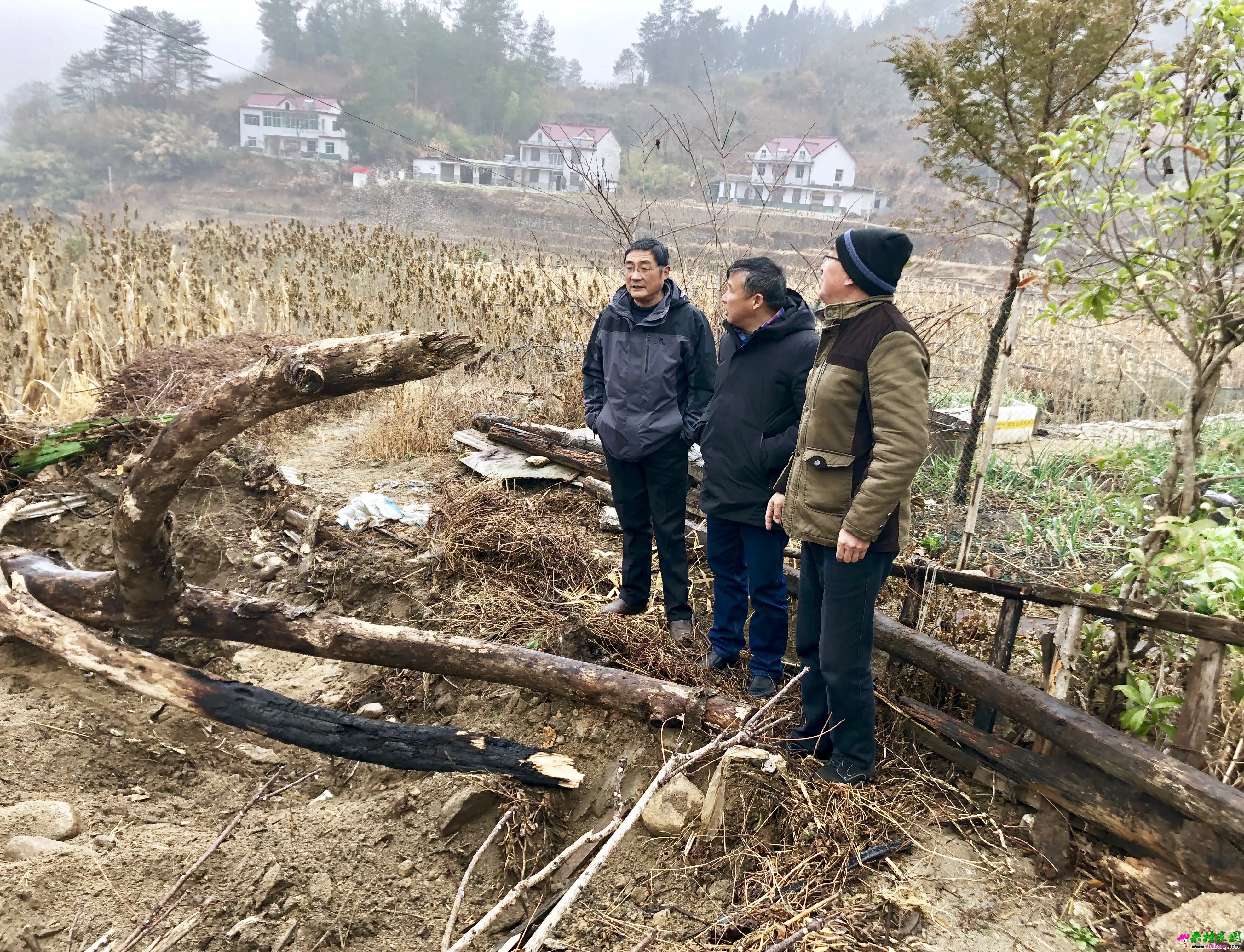 微信图片_20191218175750.webp