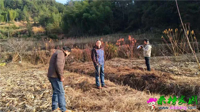 微信图片_20191219205819.webp
