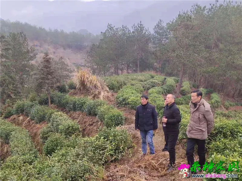微信图片_20191222210549.webp