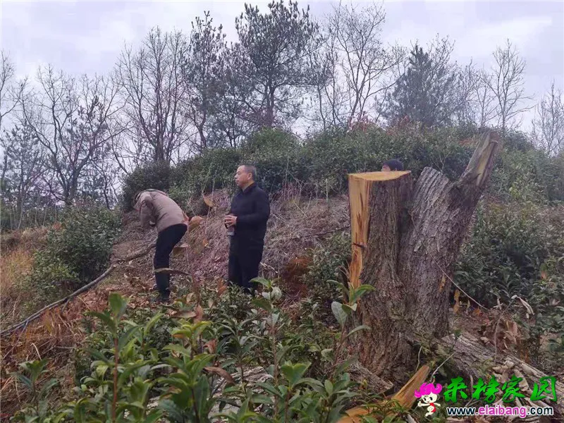 微信图片_20191222210545.webp
