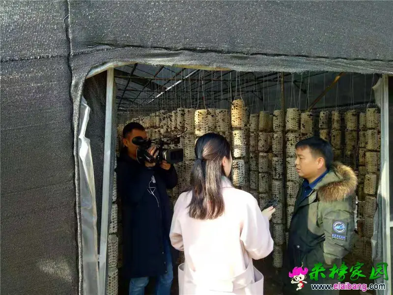 微信图片_20191226195755.webp