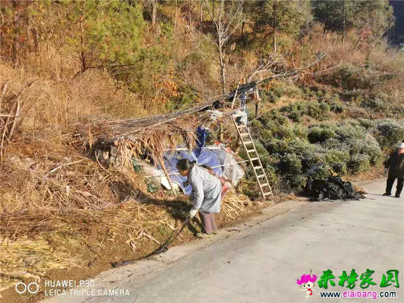 微信图片_20191227211537.webp