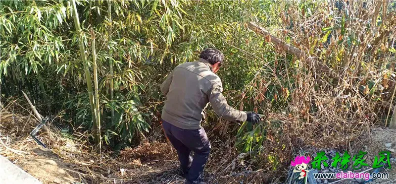 微信图片_20191227211557.webp