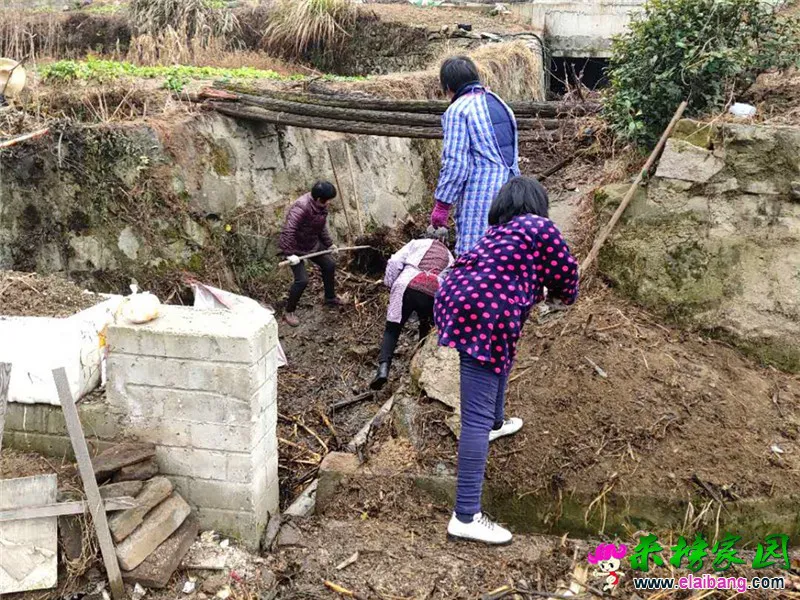 微信图片_20200102203654.webp