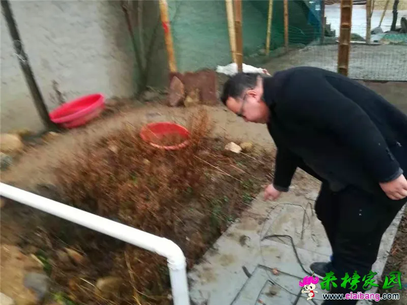 微信图片_20200106221238.webp