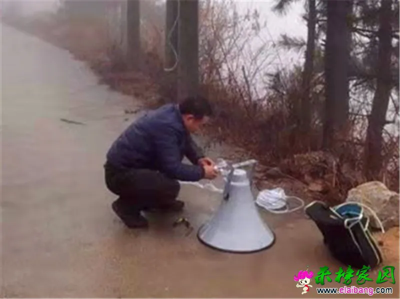 微信图片_20200106221242.webp