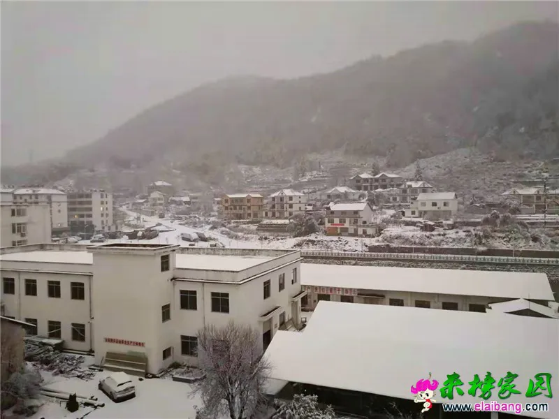微信图片_20200109070246.webp