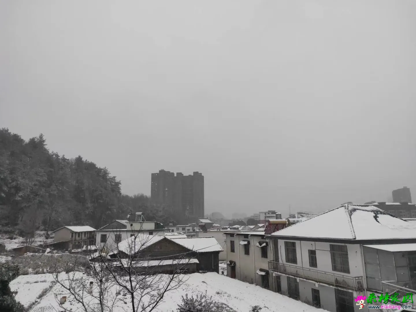 微信图片_20200109071447.webp