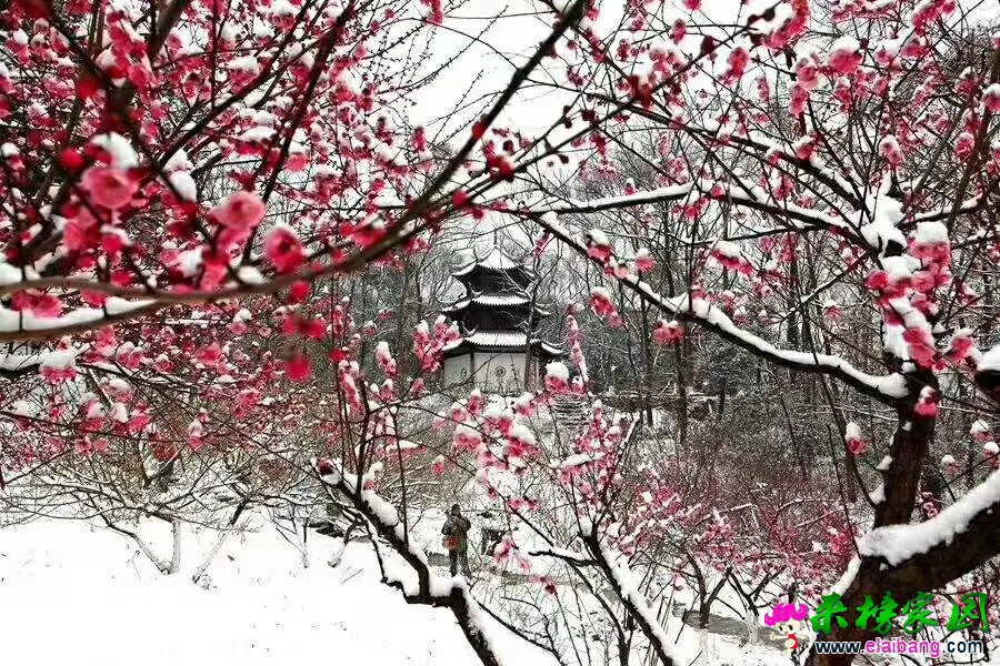 微信图片_20200109071438.webp