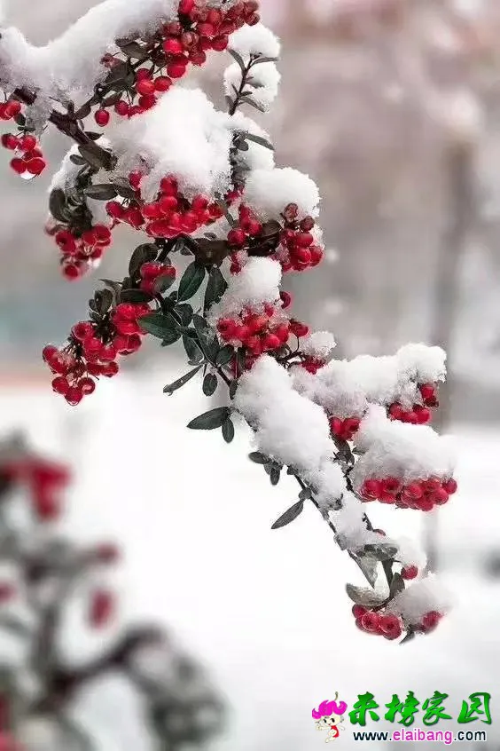 微信图片_20200109071440.webp