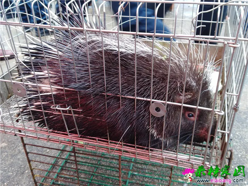 微信图片_20200111211116.webp