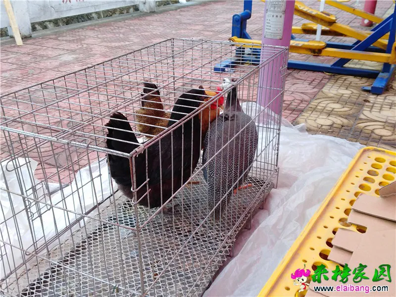微信图片_20200111211113.webp