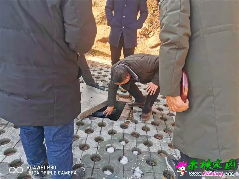 微信图片_20200113170204.webp