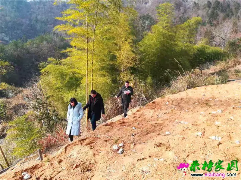 微信图片_20200114205310.webp