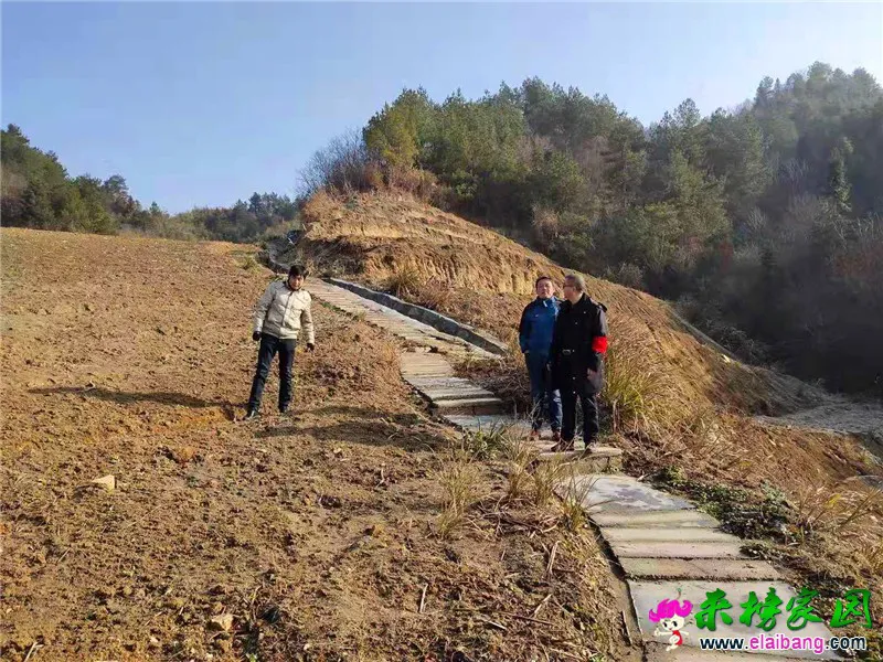 微信图片_20200120160317.webp