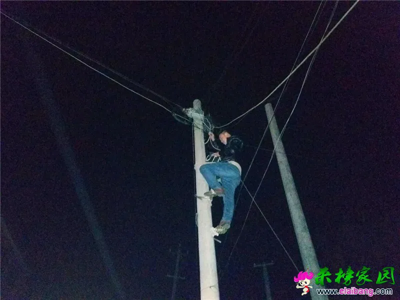 微信图片_20200123211820.webp