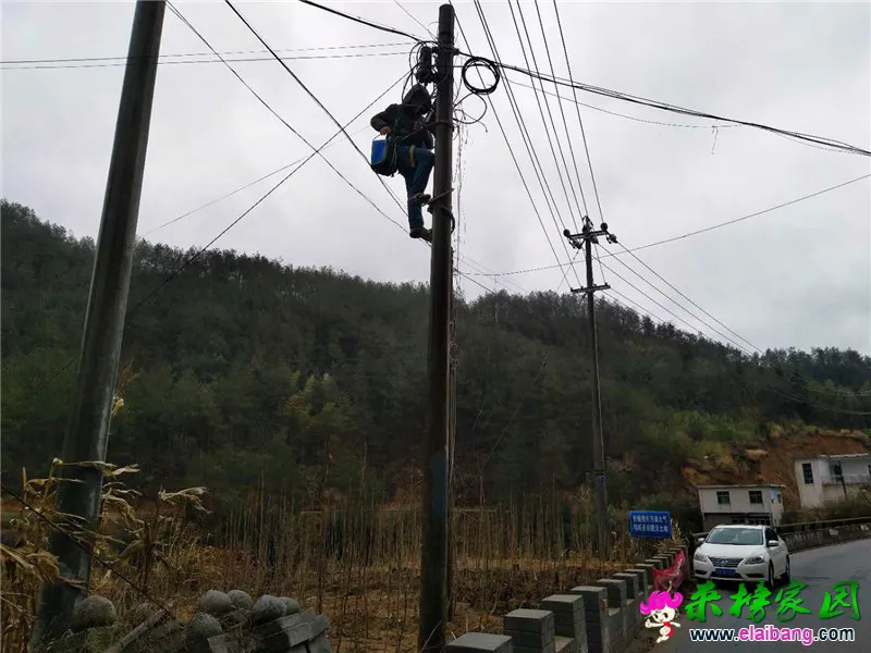 微信图片_20200124204925.webp