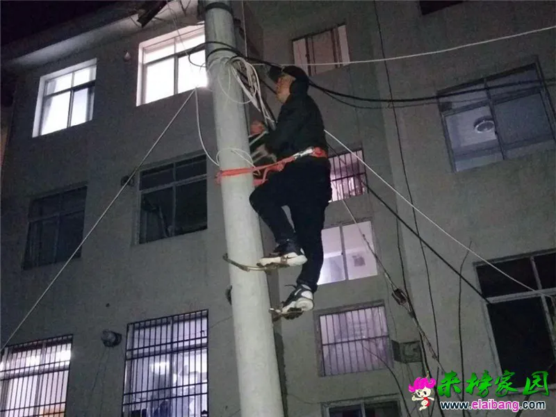 微信图片_20200124205014.webp