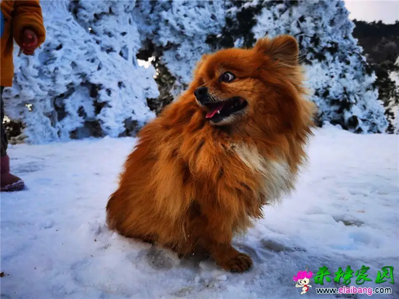 微信图片_20200131112800.webp