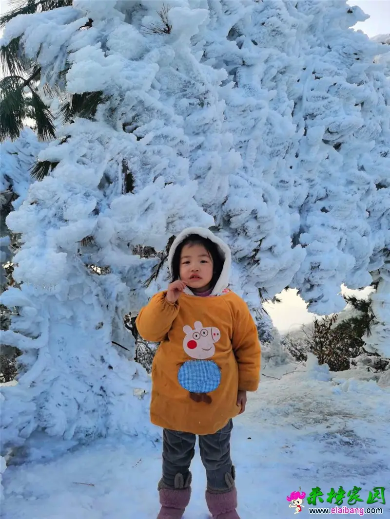 微信图片_20200131112803.webp