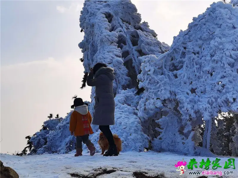 微信图片_20200131112809.webp