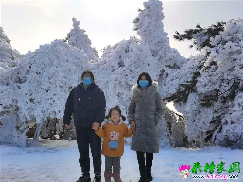 微信图片_20200131112818.webp