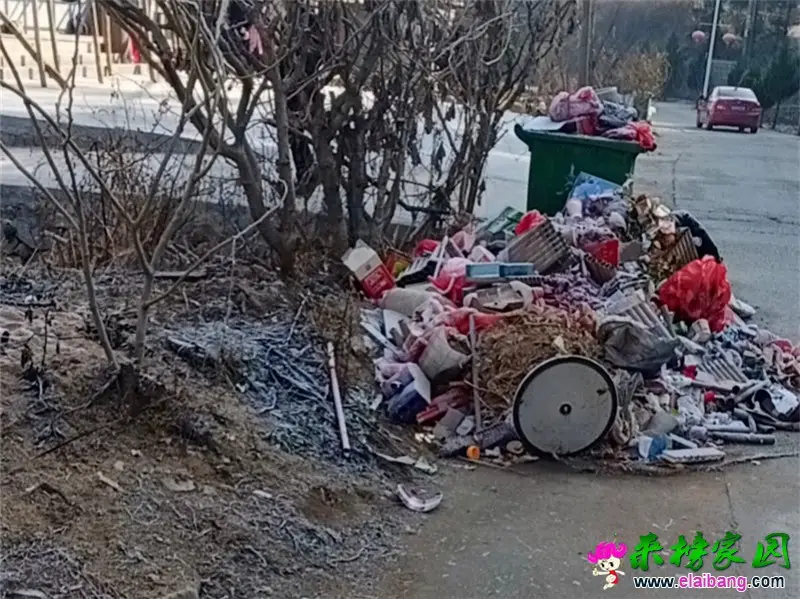微信图片_20200131194729.webp