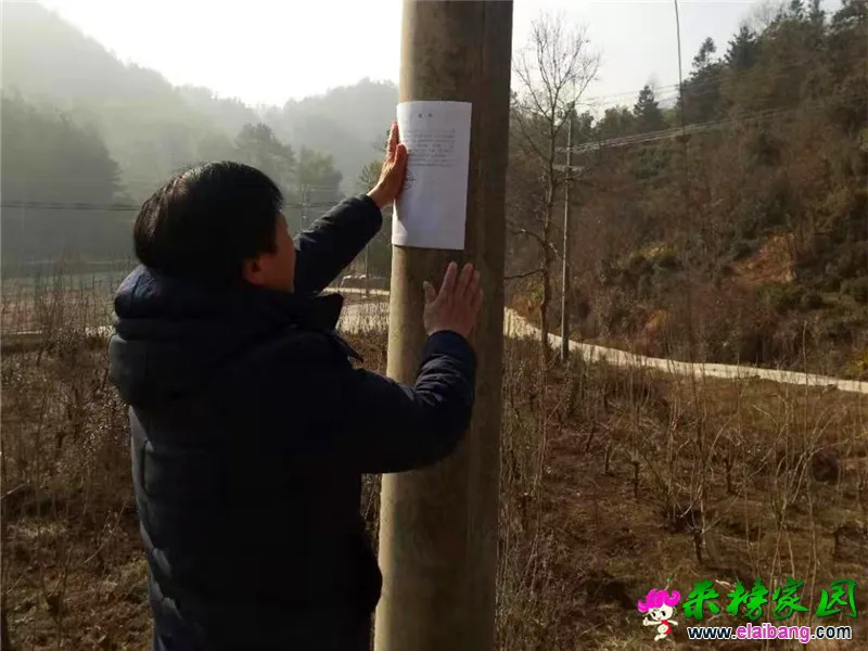 微信图片_20200131202151.webp