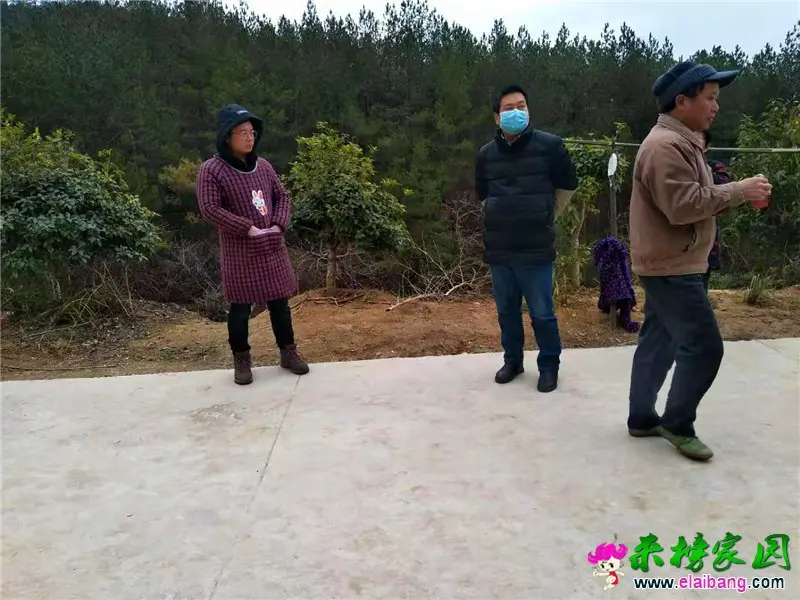 微信图片_20200202210135.webp