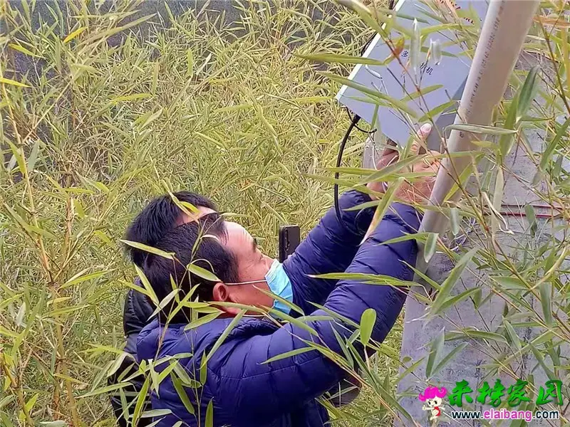 微信图片_20200202210126.webp