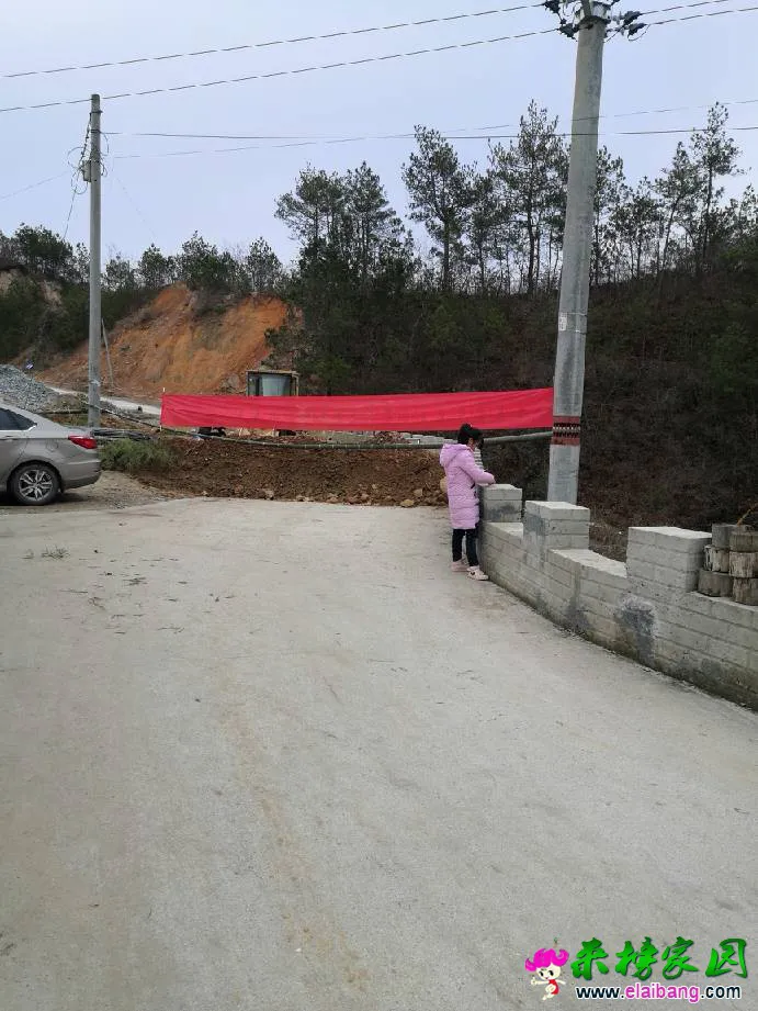 145813anibcic6ii6a6czh.webp