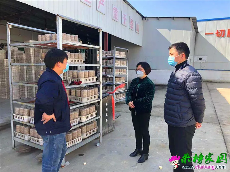 微信图片_20200212164846.webp