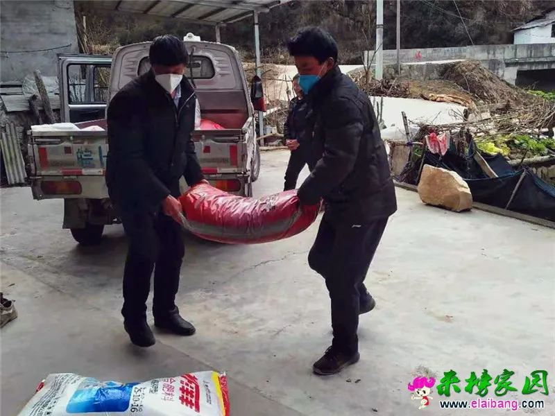 微信图片_20200213171916.webp
