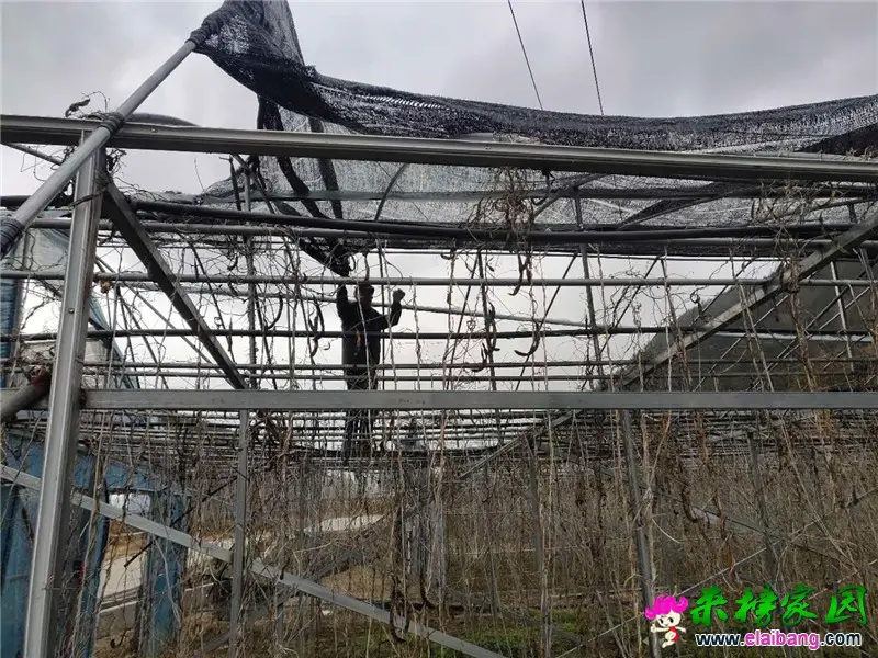微信图片_20200215202924.webp