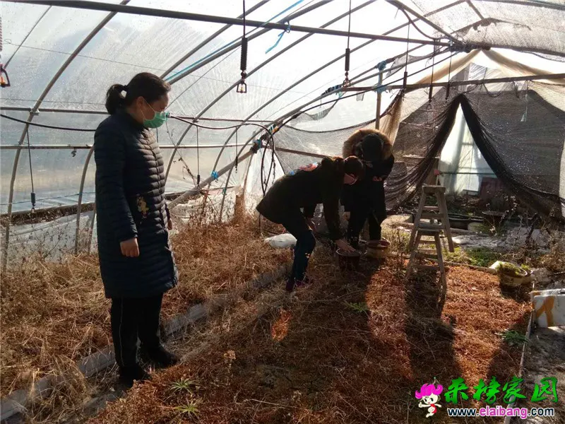 微信图片_20200220163858.webp
