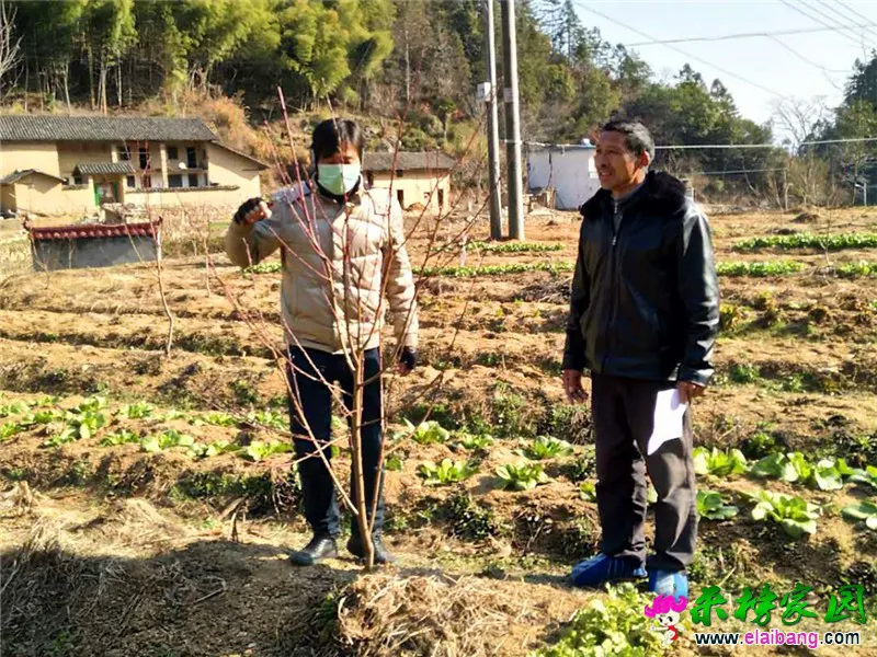 微信图片_20200222210751.webp