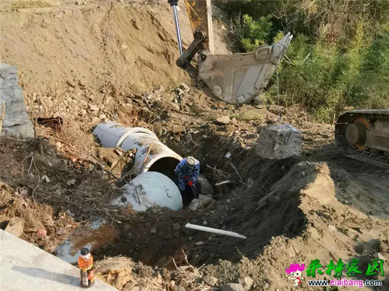 微信图片_20200223164222.webp