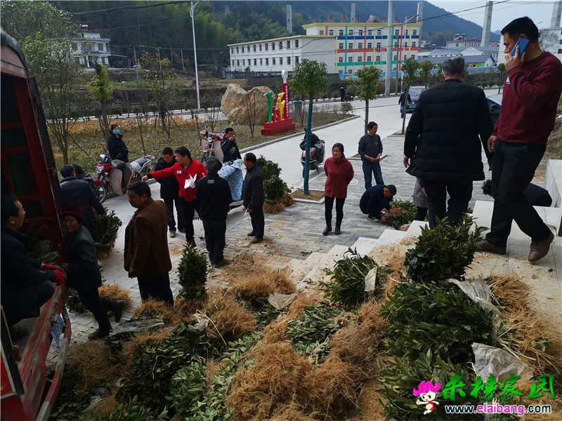 微信图片_20200224155457.webp