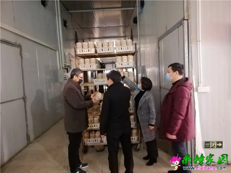 微信图片_20200225205100.webp