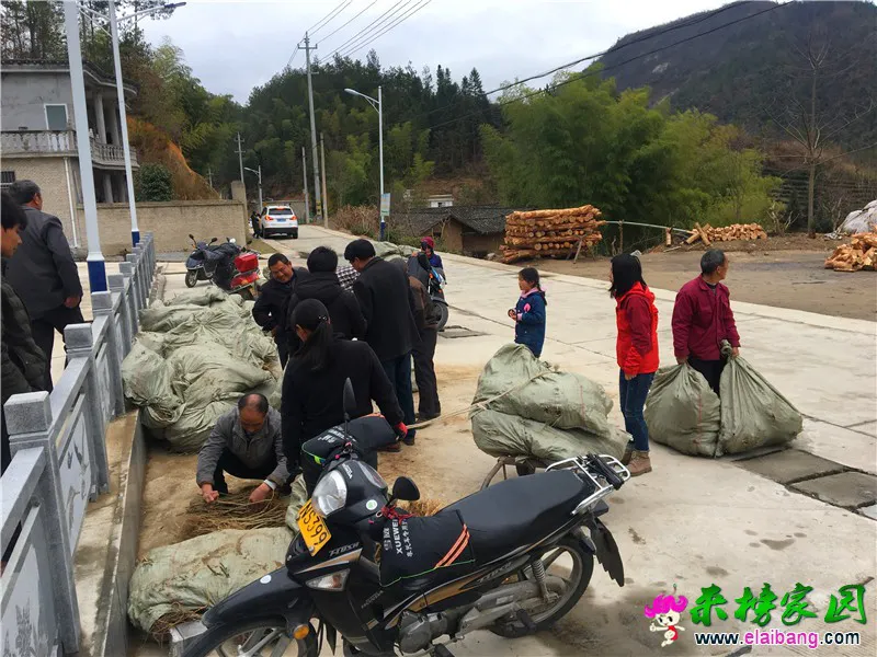微信图片_20200226195426.webp
