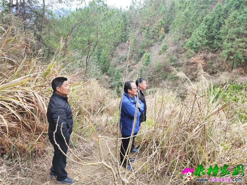 微信图片_20200226195432.webp