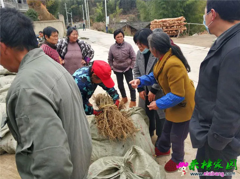 微信图片_20200226195440.webp