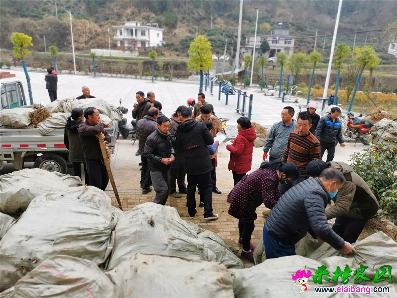 微信图片_20200227151156.webp