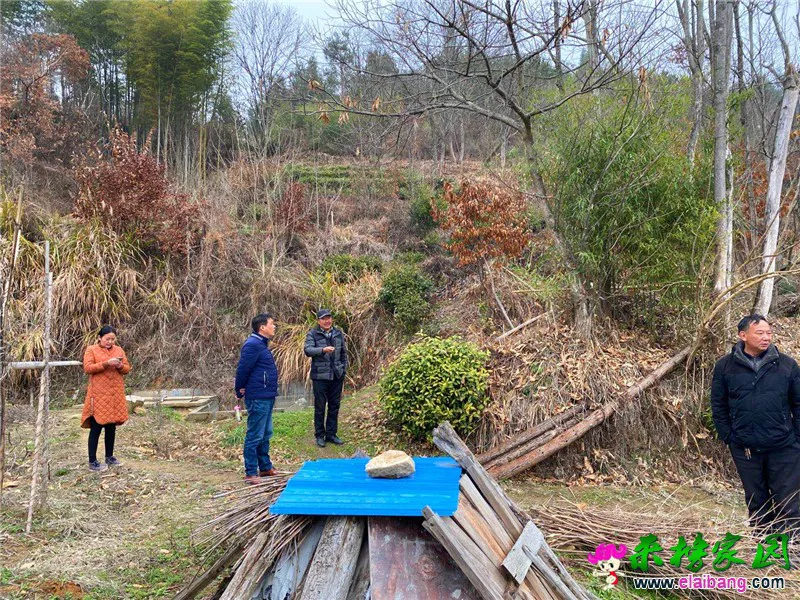 微信图片_20200227153347.webp