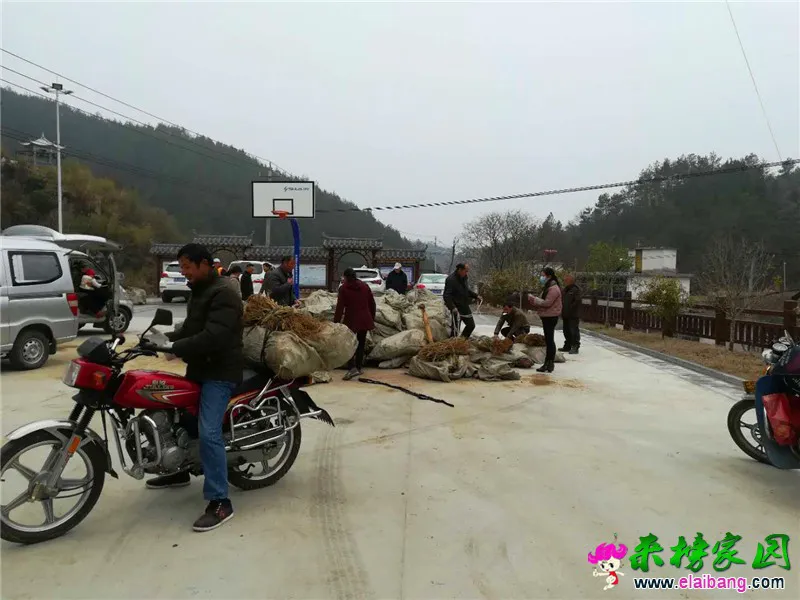 微信图片_20200227153542.webp