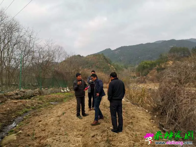 微信图片_20200302164611.webp