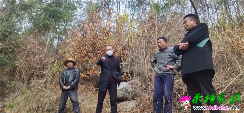 微信图片_20200302164610.webp