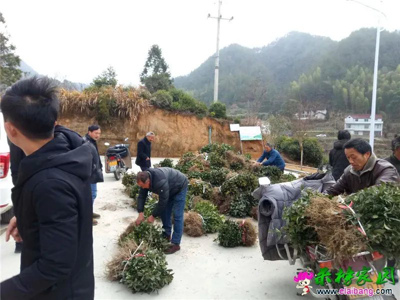 微信图片_20200303152728.webp