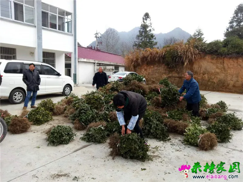 微信图片_20200303152730.webp