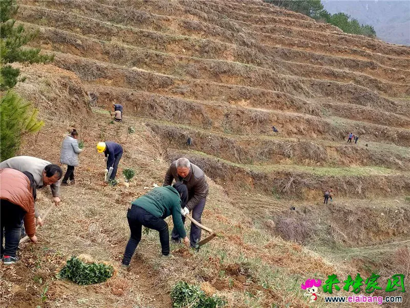 微信图片_20200303153309.webp